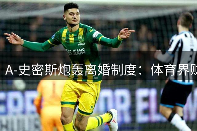A-史密斯炮轰离婚制度：体育界财富分配严重失衡